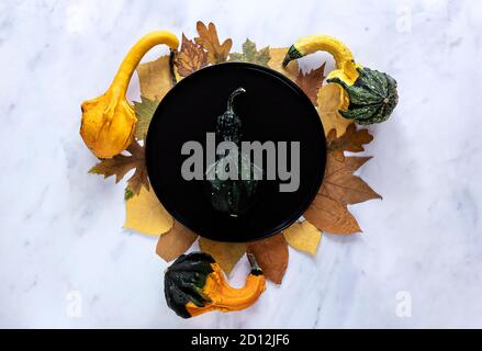 Herbst und Thanksgiving Tagestisch Einstellung mit gefallenen Blättern und Dekorative Kürbisse Stockfoto