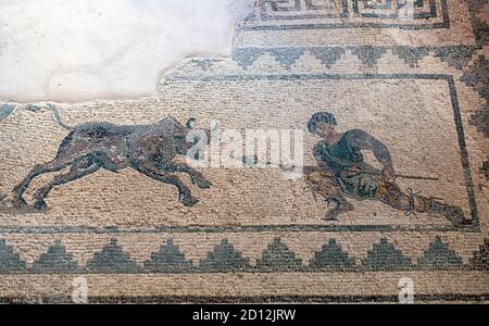 Haus von Dionysos, Paphos: Das Jagdmosaik zeigt einen Mann und einen aufladerischen Stier. Stockfoto