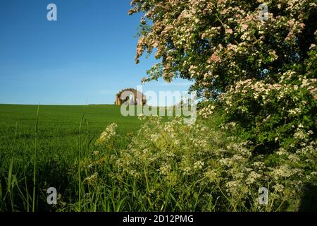 Rousham Hingucker Torheit im Steeple aston, Oxfordshire Stockfoto