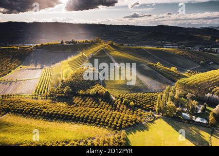 ITALIEN, PIEMONT, LANGHE: Herbstabend Sonnenlicht auf den Weinbergen in der Region Langhe, Piemonte, Italien Stockfoto