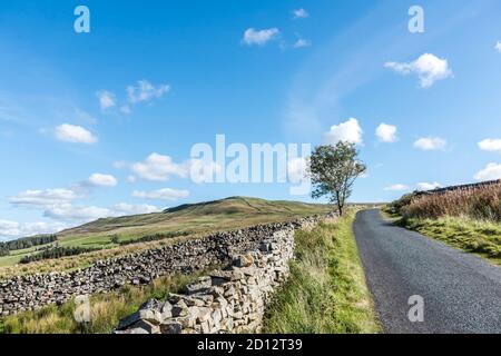 Dies ist der North Yorkshire Dales Blick auf Archengarthdale und Swaledale mit seinen berühmten Wandsystemen und Heuschellen reflektieren Eine Ära vor langer Zeit Stockfoto