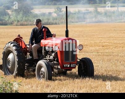 Massey Ferguson 35 Traktor der 60er Jahre mit Fahrer im Feld Von geerntetem Weizen Cherry Willingham Lincolnshire September 2020 Stockfoto