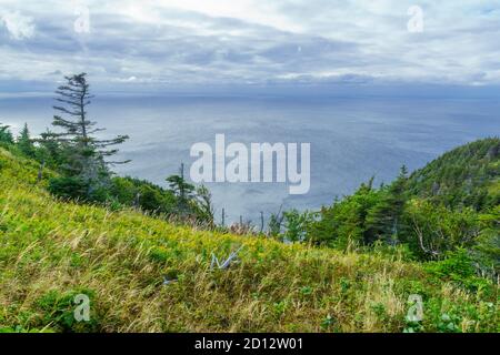 Blick auf die Skyline Trail, im Cape Breton Highlands National Park, Nova Scotia, Kanada Stockfoto