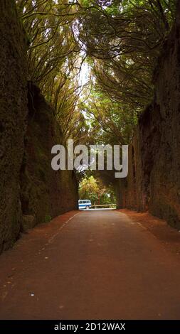 Naturpark von Anaga auf Teneriffa Stockfoto