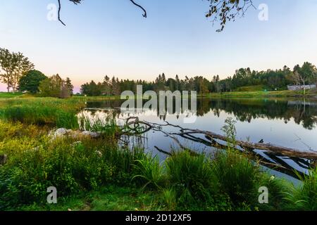 Sonnenuntergang Blick auf die MacLaren Teich, in den Fundy National Park, New Brunswick, Kanada Stockfoto