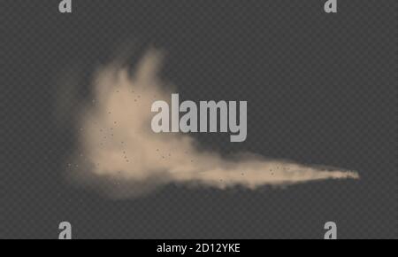 Staubwolke, Sandsturm, Pulverspray auf transparentem Hintergrund. Wüstenwind mit Wolke aus Staub und Sand. Realistische Vektordarstellung Stock Vektor