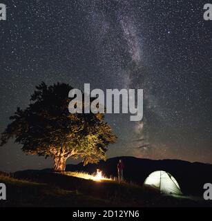 Junge Hikerin, die in der Sommernacht in den Bergen neben Lagerfeuer, beleuchtetem Touristenzelt und großem Baum eine Pause macht. Rückansicht der Frau genießen Blick auf den Nachthimmel voller Sterne und Milchstraße. Stockfoto