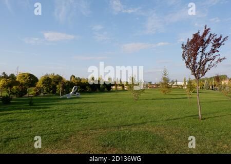 Grünes Gras und Tress mit einem Scherenmodell auf dem Masse Stockfoto