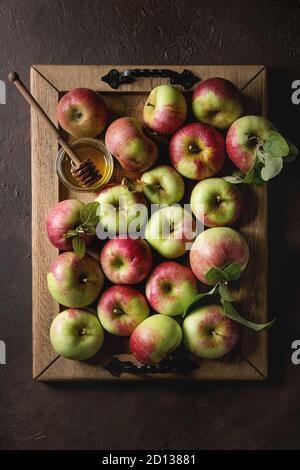Reif Organic Gardening grün rote Äpfel mit Blättern und Glas Honig auf Holz- fach über dunkle Textur Hintergrund. Flach, Platz. Herbst Ernte. Stockfoto