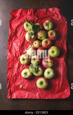 Reif im Garten Grün rote Äpfel mit Blättern auf Rot hell zerknittertes Papier über dunkle Textur Hintergrund. Flach, Platz. Herbst Ernte. Stockfoto