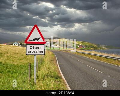 Ein Schild warnt Autofahrer, um Otter zu beobachten, die die Straße in der Nähe von Weiß in Shetland, Schottland, Großbritannien überqueren - das Loch von Strom ist auf der rechten Seite. Stockfoto