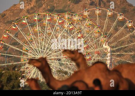 Selektives Fokusbild von Kamelen im Vordergrund unscharf und Riesenrad Fahrt ias das Hauptthema bei Pushkar, Rajathan, Indien am 19. November 2018 Stockfoto