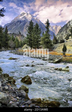 Naltar ist ein Tal in der Nähe von Gilgit, Hunza und Nomal in der Region Gilgit-Baltistan in Pakistan. Naltar ist etwa 54 Kilometer von Gilgit entfernt und kann erreicht werden Stockfoto