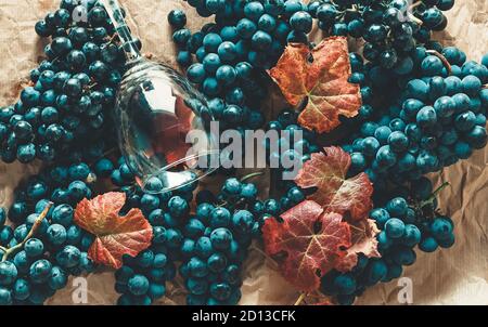 Trauben von schwarzen Trauben mit Blättern und ein Glas Wein füllen die ganze Ebene. Stockfoto