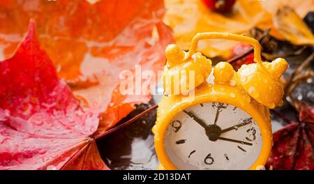 Herbst Konzept. Wecker Schwarz auf Gelb gefallene Laub. Herbst Jahreszeit. Stockfoto