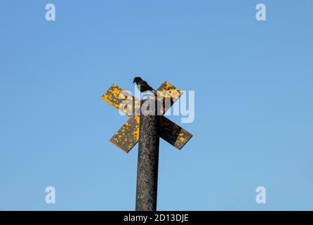 Schwarze Krähe auf einem alten rostigen Hafen Markierung Stockfoto