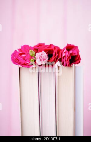 Schöne rosa eustoma oder lisianthus oder Prärie Enzian Blume und Bücher auf rosa Hintergrund, kopieren Raum Stockfoto