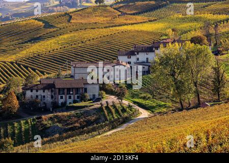 Blick auf ländliche Häuser inmitten farbenprächtiger herbstlicher Weinberge auf den Hügeln der Langhe im Piemont, Norditalien. Stockfoto