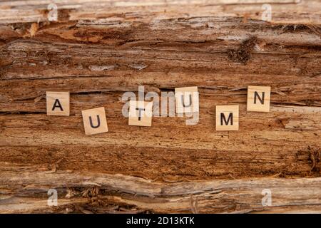 Das Wort Herbst ist in Holzbuchstaben auf einem hölzernen Hintergrund geschrieben. Herbstkonzept und Kalenderkonzept. Speicherplatz kopieren Stockfoto