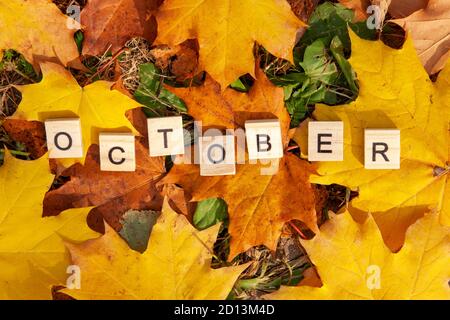 Das Wort Oktober ist in Holzbuchstaben auf einem Hintergrund von gefallenen Blättern geschrieben. Herbstkonzept und Kalenderkonzept. Speicherplatz kopieren Stockfoto