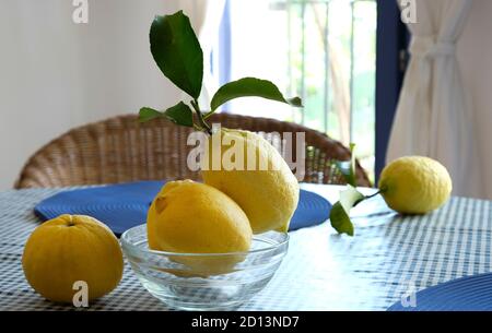 Frische Zitronen mit Blättern auf dem Tisch Stockfoto