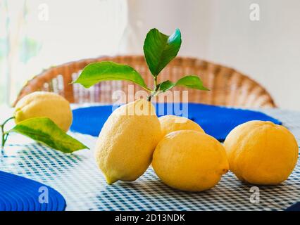 Frische Zitronen mit Blättern auf dem Tisch Stockfoto