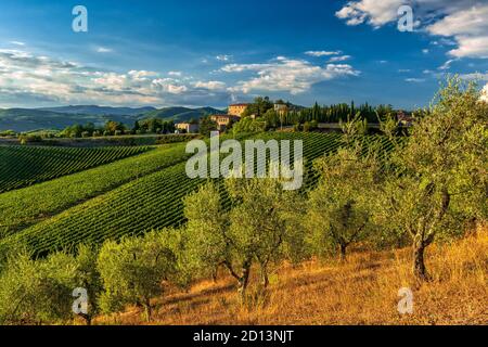 Weinberge und Olivenhaine umrahmt die rocca di Castagnoli im Herzen der Chianti-Landschaft, Toskana Stockfoto