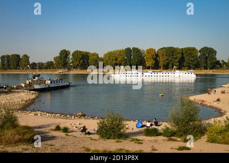 Am Rheinufer in Langel, Kreis Merkenich, beliebt an Sommertagen, Köln, Nordrhein-Westfalen, Deutschland. Am Rheinufer in Langel, S Stockfoto