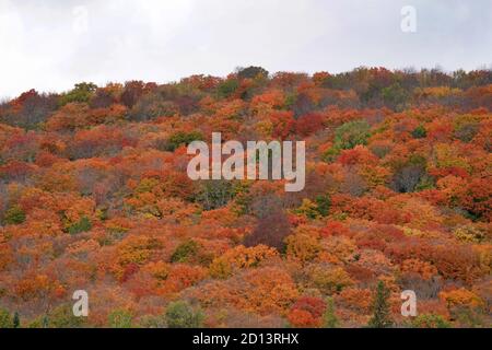 Herbstszenien Stockfoto