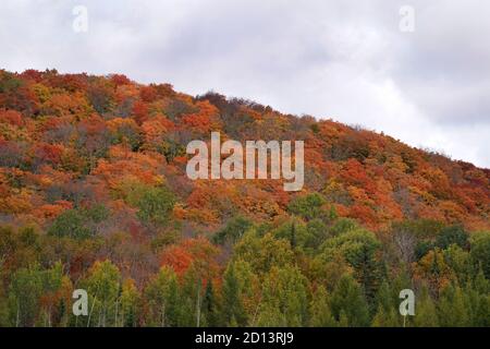 Herbstszenien Stockfoto