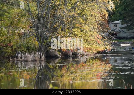 Herbstszenien Stockfoto