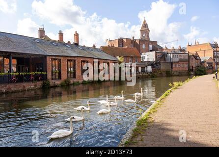 Kennet und Avon Kanal im Stadtzentrum von Newbury, Berkshire, England, Großbritannien Stockfoto