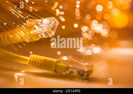 Netzwerkverbindungskabel mit Glasfaser Stockfoto