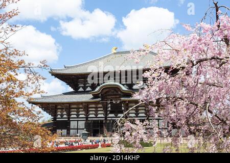 Tōdai-ji, buddhistischer Tempel, Nara, Japan Stockfoto