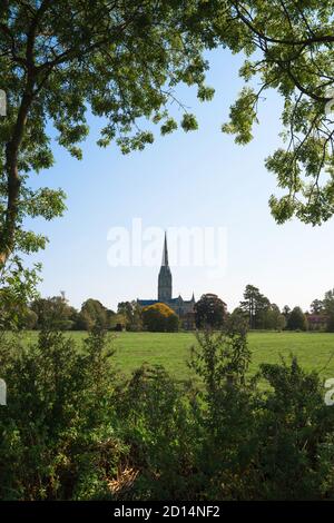 England Landschaft traditionell, Blick im Sommer durch Wälder in Richtung Salisbury Cathedral in Wiltshire, England, Großbritannien Stockfoto