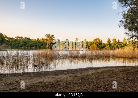 Athalassa See in Zypern mit Rohr und Zweig Wasser Reflexionen An einem schönen sonnigen Nachmittag Stockfoto