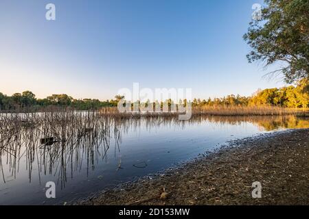 Athalassa See in Zypern mit Rohr und Zweig Wasser Reflexionen An einem schönen sonnigen Nachmittag Stockfoto