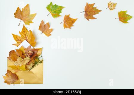 Hallo september. Herbst flach lag mit Umschlag und Blättern auf weißem Hintergrund. Stockfoto