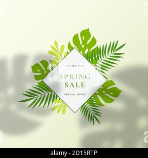 Monstera Tropical Blätter Sommer Zeichen oder Logo Vorlage. Abstraktes grünes Blatt mit Rhombus-Bordüre und klassischer Typografie. Natürliche Beleuchtung Palmblätter Stock Vektor