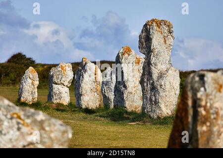 Frankreich, Finistere, Parc Naturel Regional d'Armorique (Armorica Natural Regional Park), Presqu'ile de Crozon, Camaret sur Mer, Lagatjar Alignments Stockfoto