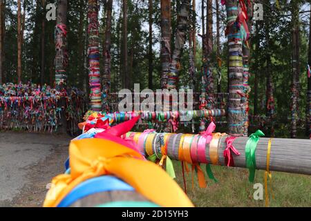 Bunte Satinbänder gebunden an Baumzäune und Birken Von Paaren, um Liebe und Ehe in russland zu feiern Stockfoto