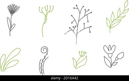 Satz von Vektor-Skizzen und Linie doodles Logo organisch. Handgezeichnete Designelemente isolierte Blumen, Blätter, Kräuter für Dekorationsdrucke, Etiketten Stock Vektor