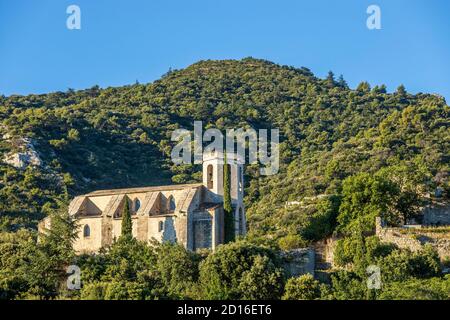 Frankreich, Vaucluse, regionaler Naturpark Luberon, Opp?de-Le-vieux, Notre-Dame d'Alidon Kirche Stockfoto