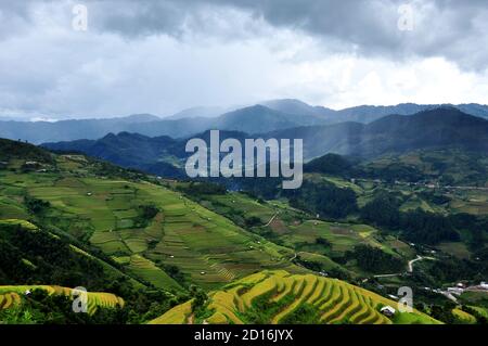 Reisterrassen MuCangChai, Yen Bai, Vietnam - die Jahreszeit des reifen Reises - die Wunder der Bauern Stockfoto