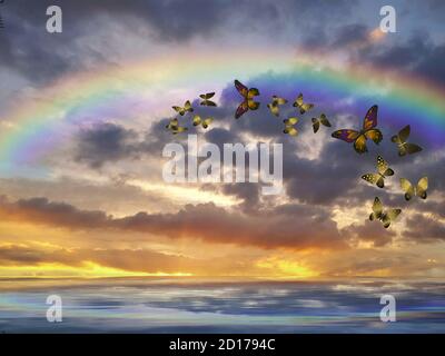 Natürlicher Hintergrund mit Schmetterlingen und Regenbogen im Meer Reflexion Stockfoto