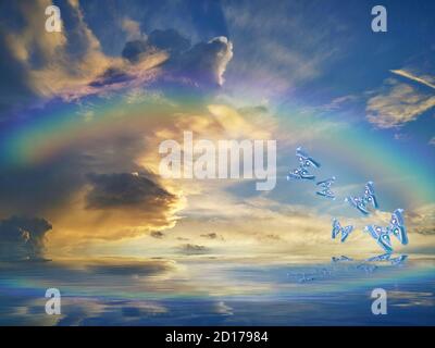 Natürlicher Hintergrund mit Schmetterlingen und Regenbogen im Meer Reflexion Stockfoto