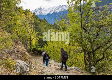 Wanderung über den Weinweg von Visperterminen nach Visp, Wallis, Schweiz. Der Weinberglehrpfad beginnt in Visperterminen auf 1,170 Metern. Oft haben Sie einen Blick auf die Viertausender, wenn Sie durch den höchsten Weinberg Europas wandern Stockfoto