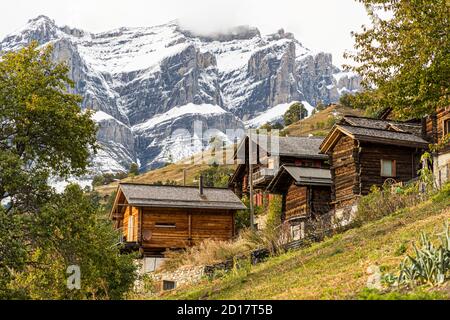 Geführte Kräuterwanderung durch Albinen im Wallis, Schweiz Stockfoto