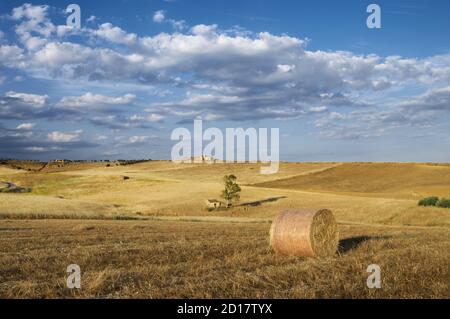 Blick auf die Landschaft in Sizilien auf sommerliche Getreidefelder mit rundem Heuballen, Italien Stockfoto