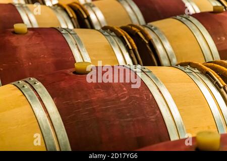 Weingut Bonvin in Sion, Schweiz. Eine Tour durch die Weinberge kann auch mit einem Teil der Önologie im Oenopark von Les Celliers de Sion beendet werden Stockfoto